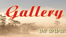Gallery of Living Nature