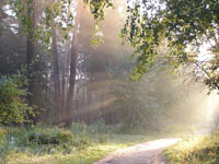 Click to view Magic of Morning 1.1 screenshot